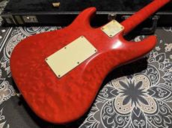 画像7: Valley Arts Valley Arts Custom Pro USA Maple Body / Trans Red (7)