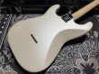 画像7: Charvel "Jake E Lee" Signature Model / Pro-Mod (7)