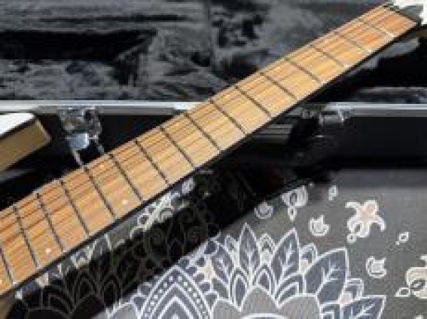 画像4: Skervesen Velociraptor 6-Strings / Trans White Top (4)