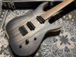 画像2: Skervesen Velociraptor 6-Strings / Trans Black Top (2)