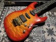 画像3: Valley Arts Valley Arts Custom Pro USA '93 / Fire Burst (3)