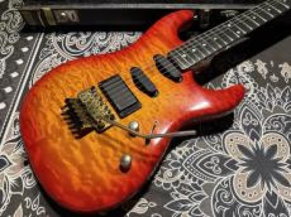 画像3: Valley Arts Valley Arts Custom Pro USA '93 / Fire Burst (3)