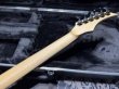 画像8: Skervesen Velociraptor 6-Strings / Trans Black Top (8)
