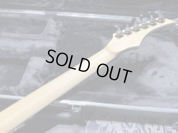 画像8: Skervesen Velociraptor 6-Strings / Trans Black Top (8)