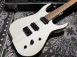 画像2: Skervesen Velociraptor 6-Strings / Trans White Top (2)