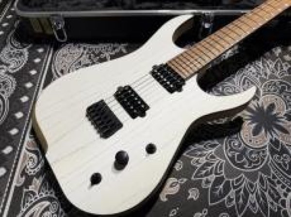 画像2: Skervesen Velociraptor 6-Strings / Trans White Top (2)