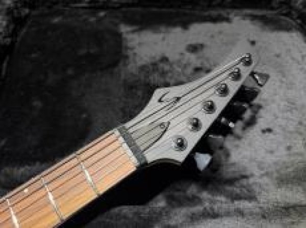 画像5: Skervesen Velociraptor 6-Strings / Trans Black Top (5)