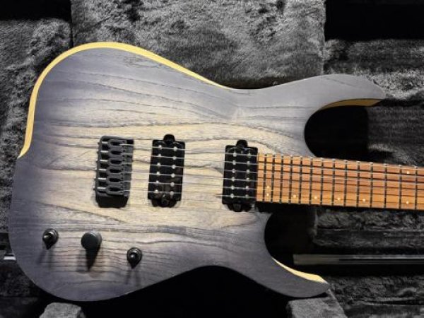 画像1: Skervesen Velociraptor 6-Strings / Trans Black Top (1)