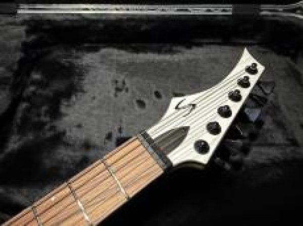画像5: Skervesen Velociraptor 6-Strings / Trans White Top (5)