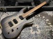 画像3: Skervesen Velociraptor 6-Strings / Trans Black Top (3)