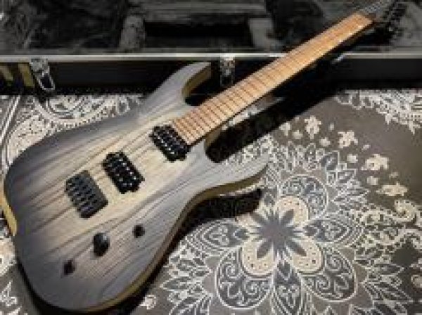 画像3: Skervesen Velociraptor 6-Strings / Trans Black Top (3)