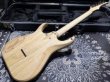 画像7: Skervesen Velociraptor 6-Strings / Trans White Top (7)