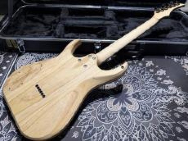 画像7: Skervesen Velociraptor 6-Strings / Trans White Top (7)