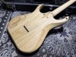 画像6: Skervesen Velociraptor 6-Strings / Trans White Top (6)