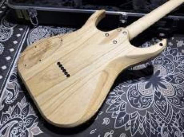 画像6: Skervesen Velociraptor 6-Strings / Trans White Top (6)