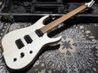 画像3: Skervesen Velociraptor 6-Strings / Trans White Top (3)