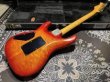画像6: Valley Arts Valley Arts Custom Pro USA '93 / Fire Burst (6)