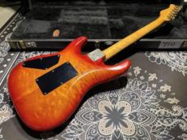 画像6: Valley Arts Valley Arts Custom Pro USA '93 / Fire Burst (6)