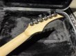 画像9: Skervesen Velociraptor 6-Strings / Trans White Top (9)