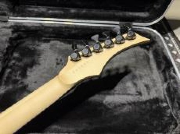 画像9: Skervesen Velociraptor 6-Strings / Trans White Top (9)