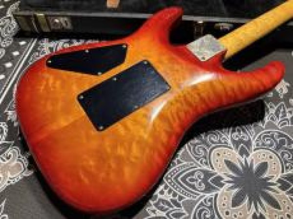 画像7: Valley Arts Valley Arts Custom Pro USA '93 / Fire Burst (7)