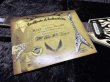 画像9: DEAN Dean USA Michael Schenker Flames V 100 Limited (71/100)!! (9)