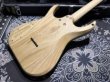 画像6: Skervesen Velociraptor 6-Strings / Trans Black Top (6)