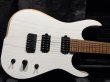 画像1: Skervesen Velociraptor 6-Strings / Trans White Top (1)
