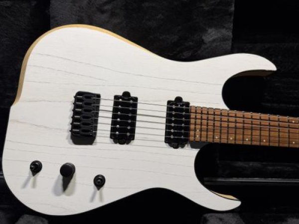 画像1: Skervesen Velociraptor 6-Strings / Trans White Top (1)
