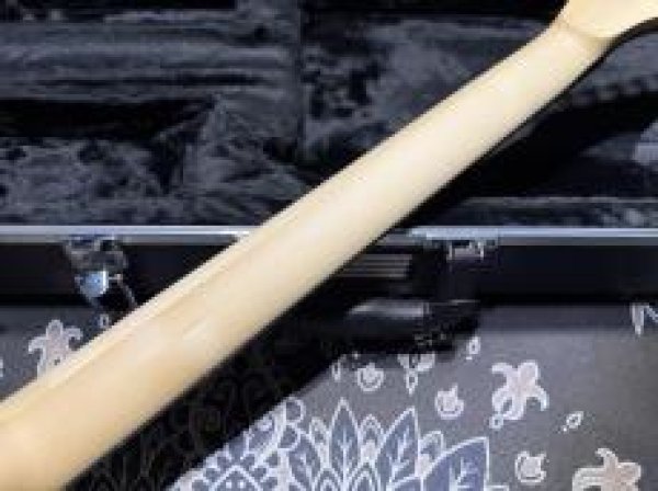 画像8: Skervesen Velociraptor 6-Strings / Trans White Top (8)
